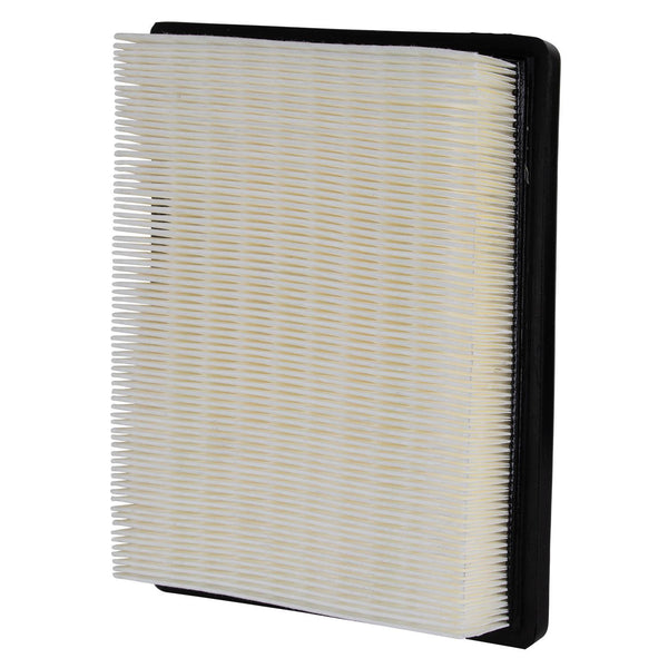 Choice Guard CAF 5396 Air Filter - A7984 / A4048