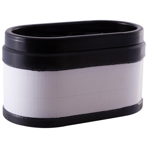Choice Guard CAF 5696 Air Filter - A2959 / A2956