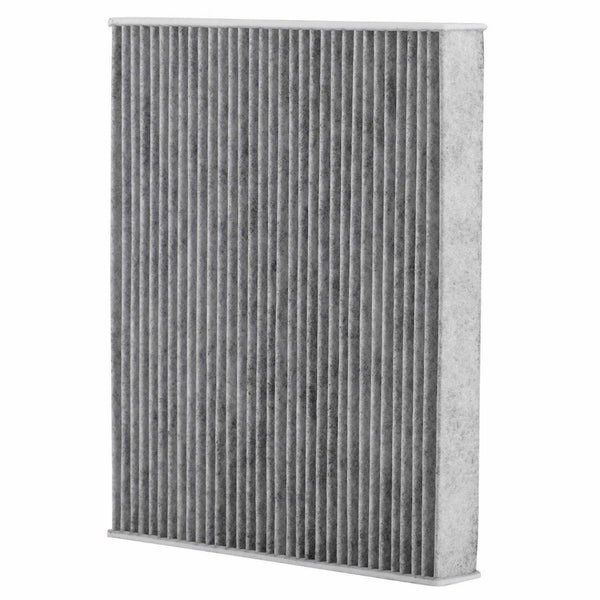 Choice Guard CCF 99513 Cabin Filter - CAF2196